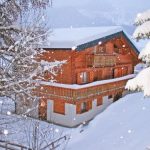 Chalet Harmonie met sauna en buiten-whirlpool - 14-16 personen