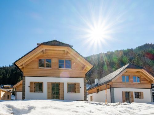 Chalet Riesneralm Steier Hütte - 8-10 personen
