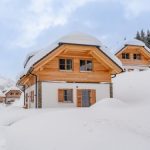 Chalet Riesneralm Alpenjoy Lodge - 8-10 personen