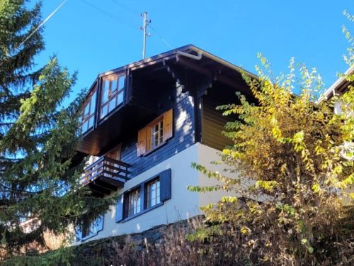 Chalet Coco met privé-sauna - 10 personen