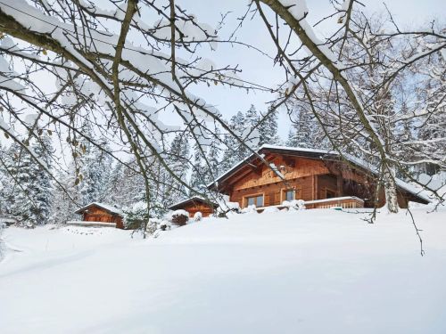 Chalet Hohe Alm - 5 personen