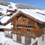 Chalet Le Loup Lodge met privé zwembad en sauna - 14 personen